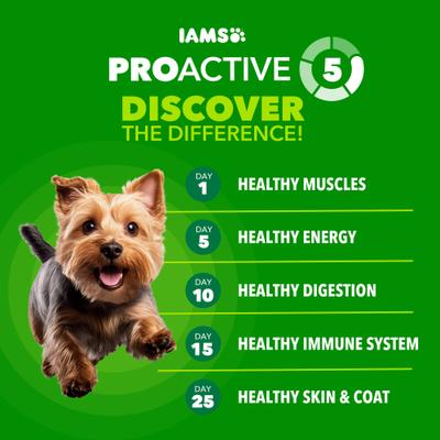Show full view: Iams Proactive Health Small Breed Adult with Real Chicken Dry Dog Food, 15-lb bag slide 9 of 11
