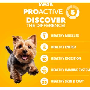 Iams Proactive Health Smart Small Breed Puppy with Real Chicken Dry Dog Food, 7-lb bag