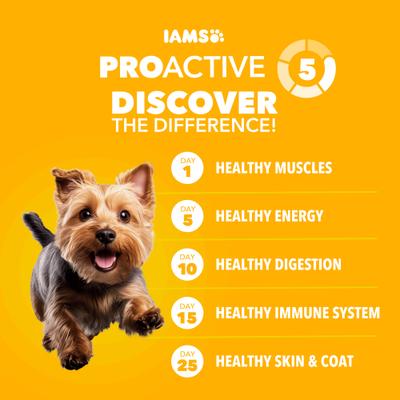 Show full view: Iams Proactive Health Smart Small Breed Puppy with Real Chicken Dry Dog Food, 7-lb bag slide 9 of 11