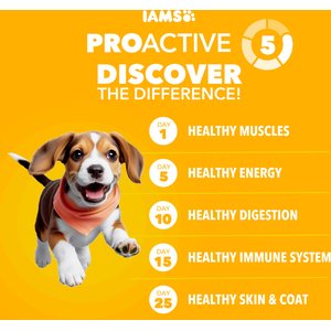 Iams Proactive Health Smart Puppy with Real Chicken Dry Dog Food, 15-lb bag