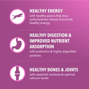 Iams Proactive Health Healthy Aging with Real Chicken Senior Dry Dog Food, 29.1-lb bag