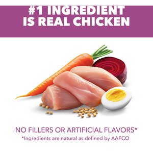 Iams Proactive Health Healthy Aging with Real Chicken Senior Dry Dog Food, 29.1-lb bag