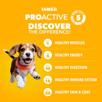 Show full view: Iams Proactive Health Large Breed Puppy with Real Chicken Dry Dog Food, 30.6-lb bag slide 9 of 11