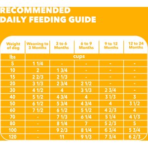 Iams Proactive Health Large Breed Puppy with Real Chicken Dry Dog Food, 30.6-lb bag