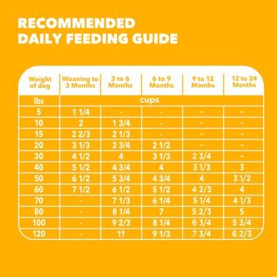 Show full view: Iams Proactive Health Large Breed Puppy with Real Chicken Dry Dog Food, 30.6-lb bag slide 8 of 11