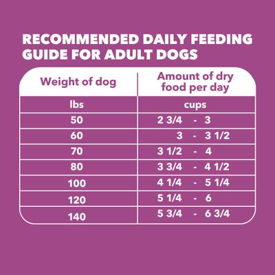 Show full view: Iams Proactive Health Healthy Aging Large Breed Adult Senior with Real Chicken Dry Dog Food, 30-lb bag slide 8 of 11