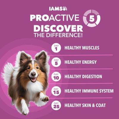 Show full view: Iams Proactive Health Healthy Aging Large Breed Adult Senior with Real Chicken Dry Dog Food, 30-lb bag slide 9 of 11