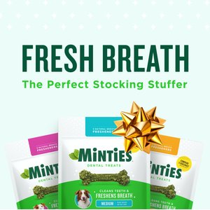 Minties Medium Mint Flavored Dental Treats for Dogs, 25-50 lbs, 32-oz, 40 count
