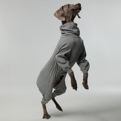 Show full view: Pebot Gumdrop Fleece Onesie Dog & Cat Pajamas, Grey, 16 slide 3 of 5