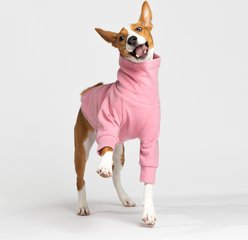 Pebot Buttercup Fleece Dog & Cat Shirt, Pink, 16