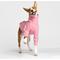 Show in main carousel: Pebot Buttercup Fleece Dog & Cat Shirt, Pink, 16 slide 1 of 6