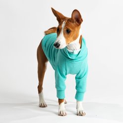 Pebot Buttercup Fleece Dog & Cat Shirt, Teal, 16 slide 2 of 6