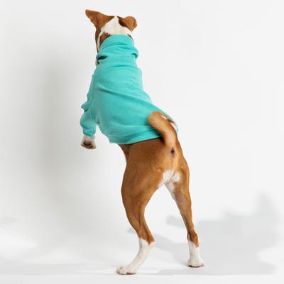 Show full view: Pebot Buttercup Fleece Dog & Cat Shirt, Teal, 14 slide 4 of 6