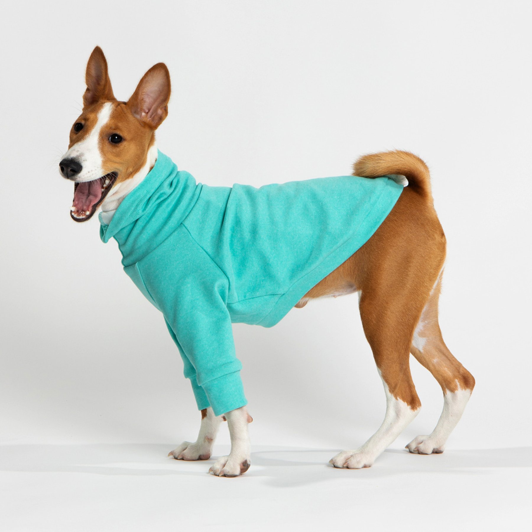 Pebot Buttercup Fleece Dog & Cat Shirt, Teal, 20