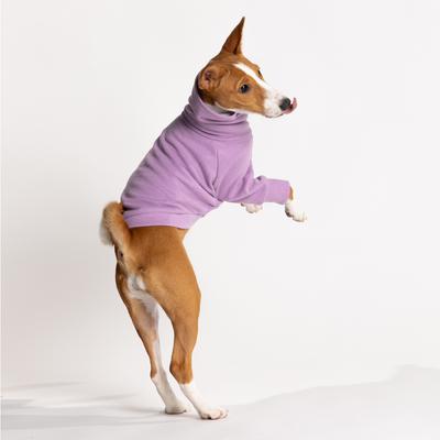 Show full view: Pebot Buttercup Fleece Dog & Cat Shirt, Lavender, 24 slide 6 of 7