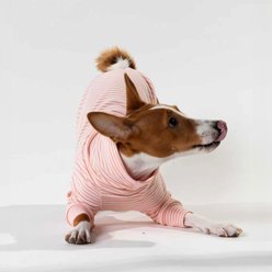 Pebot Buttercup Fleece Dog & Cat Shirt, Pink & Dark Pink Stripe, 12 slide 2 of 6