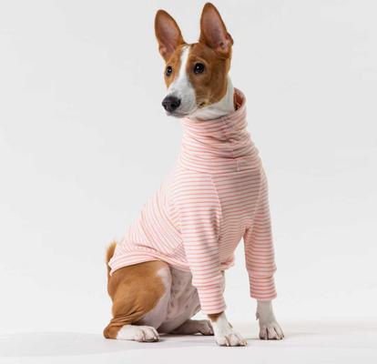 Show full view: Pebot Buttercup Fleece Dog & Cat Shirt, Pink & Dark Pink Stripe, 12 slide 2 of 6