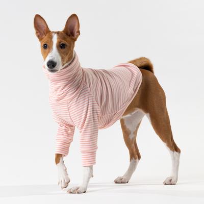 Show full view: Pebot Buttercup Fleece Dog & Cat Shirt, Pink & Dark Pink Stripe, 12 slide 3 of 6