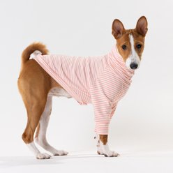 Pebot Buttercup Fleece Dog & Cat Shirt, Pink & Dark Pink Stripe, 12