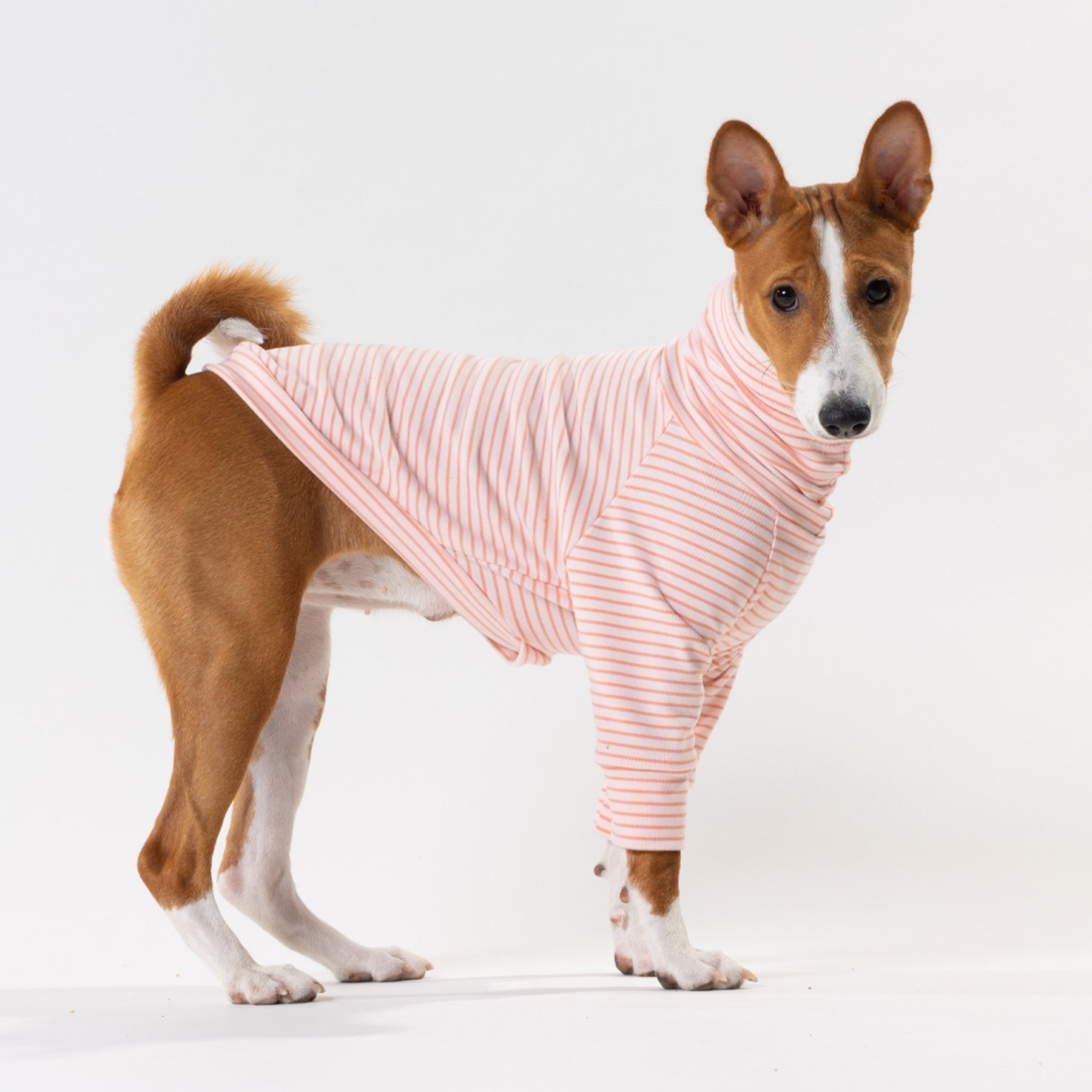 Pebot Buttercup Fleece Dog & Cat Shirt, Pink & Dark Pink Stripe, 20