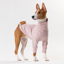 Pebot Buttercup Fleece Dog & Cat Shirt, Pink & Brown Stripe, 24 slide 2 of 6