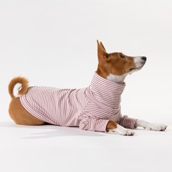 Pebot Buttercup Fleece Dog & Cat Shirt, Pink & Brown Stripe, 24