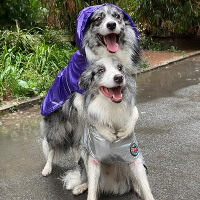 Show full view: Pebot Alita Hooded Lightweight Waterproof Dog & Cat Rain Jacket, Purple Metallic, 10 slide 3 of 6