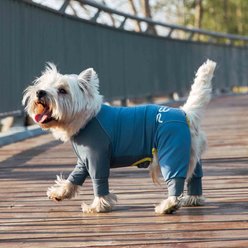 Pebot Troublemaker Triple Stain Defense UV Protection Dog & Cat Onesie, Blue Multi, 10