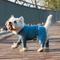 Show in main carousel: Pebot Troublemaker Triple Stain Defense UV Protection Dog & Cat Onesie, Blue Multi, 10 slide 1 of 3