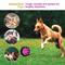 Show in main carousel: EYS Rubber Tires Dog Toy, Purple, Medium slide 8 of 9