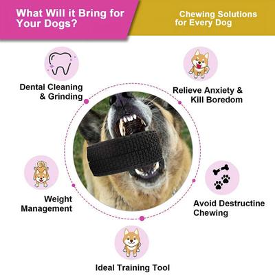 Show full view: EYS Rubber Tires Dog Toy, Purple, Medium slide 7 of 9