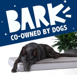 BARK Orthopedic Dog Bed, Medium, Grey slide 2 of 7