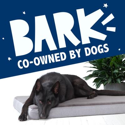 Show full view: BARK Orthopedic Dog Bed, Medium, Grey slide 7 of 7