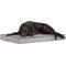 Show in main carousel: BARK Orthopedic Dog Bed, X-Large, Grey slide 1 of 7