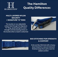 Hamilton A Day Together Ribbon Overlay Nylon Standard Dog Collar, Raspberry Star, Medium/Large: 18 to 26-in neck, 1-in wide slide 2 of 5