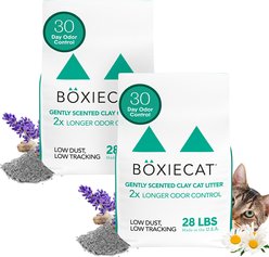 Boxiecat Gently Scented Premium Clumping Clay Cat & Kitty Litter, 56-lb bundle slide 1 of 6
