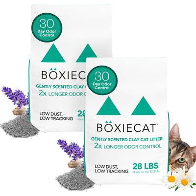 Boxiecat Boxiecat Gently Scented Premium Clumping Clay Cat & Kitty Litter, 56-lb bundle