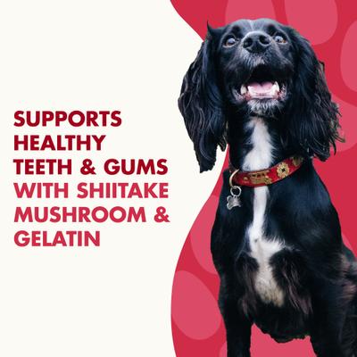 Show full view: Liquid-Vet MAGIC-STIX Skin, Teeth & Fun in One Chicken Flavor Chew Supplement for Small Dogs, 30 count slide 6 of 10