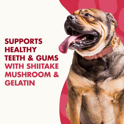Show full view: Liquid-Vet MAGIC-STIX Skin, Teeth & Fun in One Chicken Flavor Chew Supplement for Medium & Large Dogs, 30 count slide 6 of 10