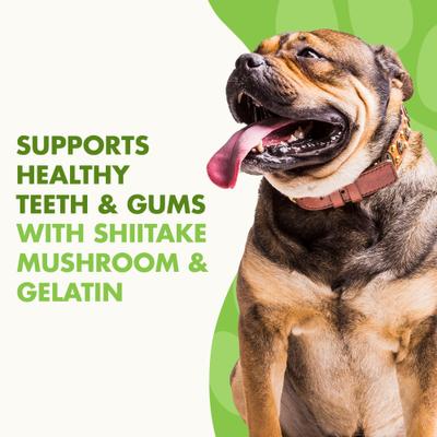 Show full view: Liquid-Vet MAGIC-STIX Joints, Teeth & Fun in One Chicken Flavor Chew Supplement for Medium & Large Dogs, 30 count slide 6 of 10