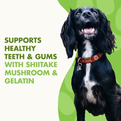 Show full view: Liquid-Vet MAGIC-STIX Joints, Teeth & Fun in One Chicken Flavor Chew Supplement for Small Dogs, 30 count slide 6 of 10