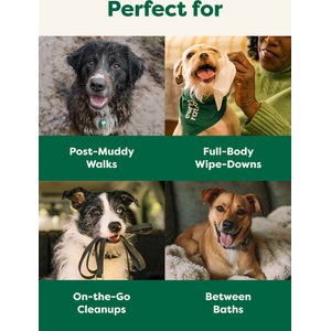 Earth Rated Thick Hypoallergenic 3-in-1 Pet Grooming Wipes, Unscented, 100 count