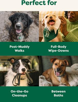 Show full view: Earth Rated Thick Hypoallergenic 3-in-1 Dog Grooming Wipes, Unscented, 100 count slide 6 of 9