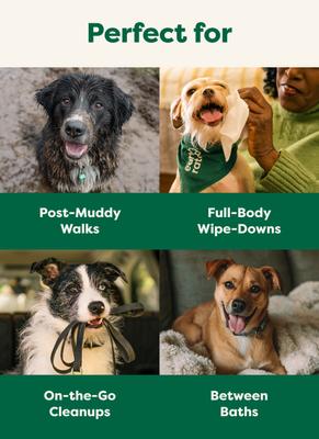 Show full view: Earth Rated Thick Hypoallergenic 3-in-1 Dog Grooming Wipes, Unscented, 100 count slide 8 of 12