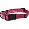 Show in main carousel: Hamilton A Day Together Ribbon Overlay Nylon Standard Dog Collar, Raspberry Star, Small/Medium: 12 to 18-in neck, 5/8-in wide slide 1 of 5