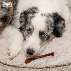 Liquid-Vet MAGIC-STIX Joints, Teeth & Fun in One Chicken Flavor Chew Supplement for Medium & Large Dogs, 30 count slide 2 of 8