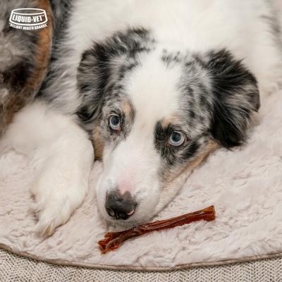 Show full view: Liquid-Vet MAGIC-STIX Joints, Teeth & Fun in One Chicken Flavor Chew Supplement for Medium & Large Dogs, 30 count slide 9 of 10