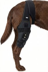 Labra ACL MCL Patella Injuries Universal Fit Left Right Knee Brace for Dogs, X-Small
