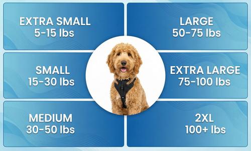 Show full view: Labra ACL MCL Patella Injuries Universal Fit Left Right Knee Brace for Dogs, X-Small slide 3 of 8