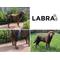 Show in main carousel: Labra ACL MCL Patella Injuries Universal Fit Left Right Knee Brace for Dogs, X-Small slide 7 of 8